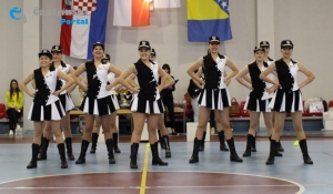 Pi&scaron;e: ČA::portal