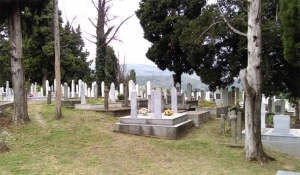 Pi&scaron;e: ČA::portal