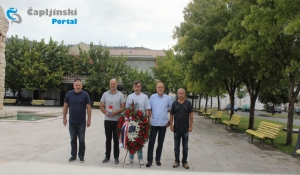 Pi&scaron;e: ČA::portal