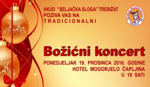 Pi&scaron;e: ČA::portal