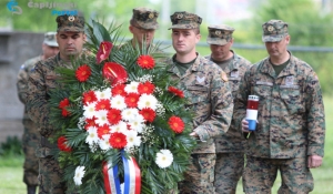 Pi&scaron;e: ČA::portal