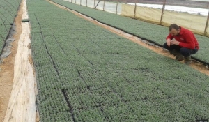 Du&scaron;an Musa | Večernji list