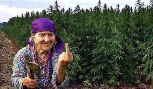 Pi&scaron;e: Bljesak.info